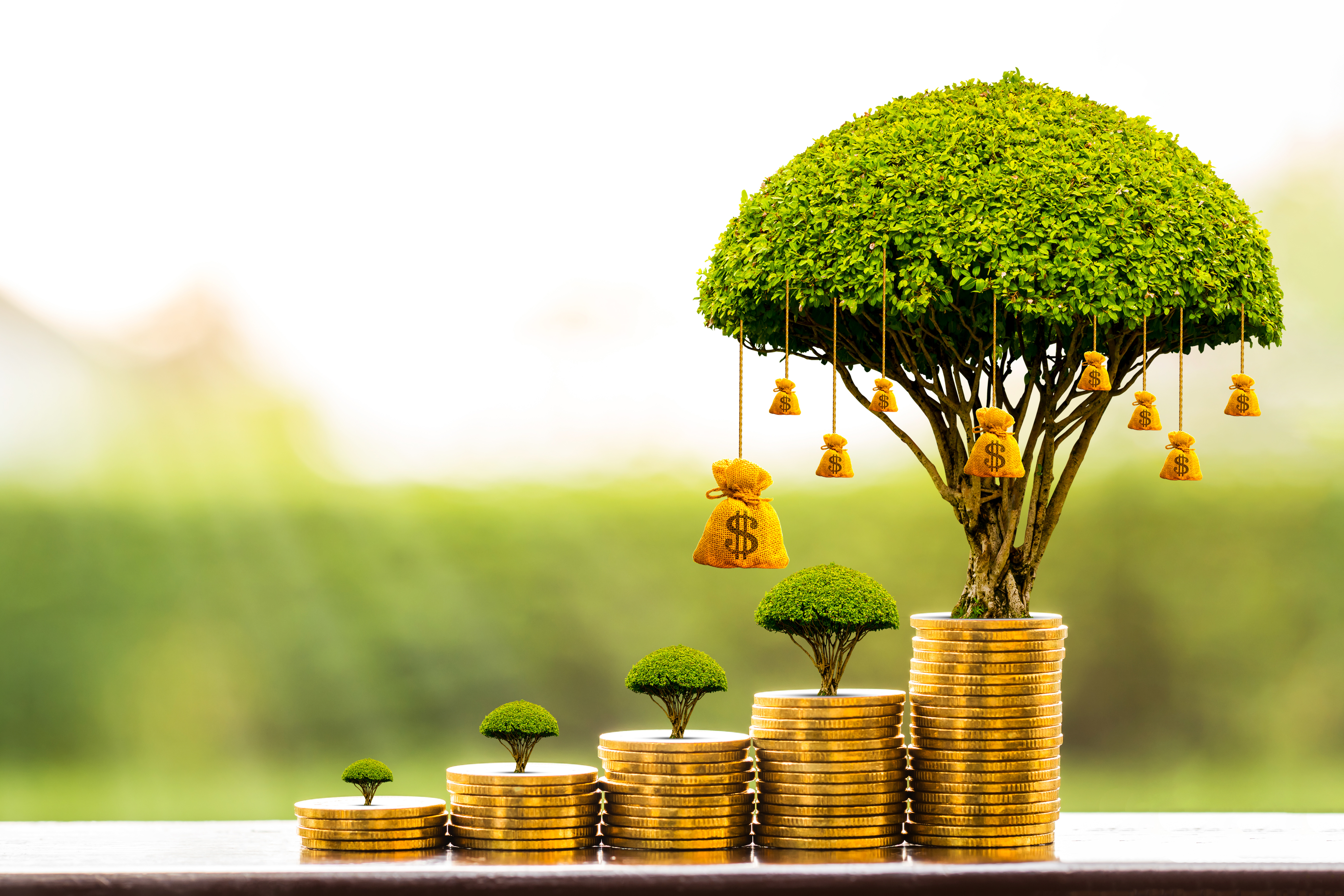 Stacking gold coins and money bag of tree with growing put